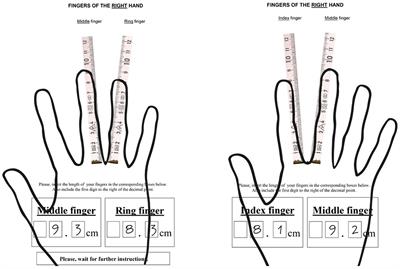 Digit Ratio (2D:4D) Predicts Self-Reported Measures of General Competitiveness, but Not Behavior in Economic Experiments